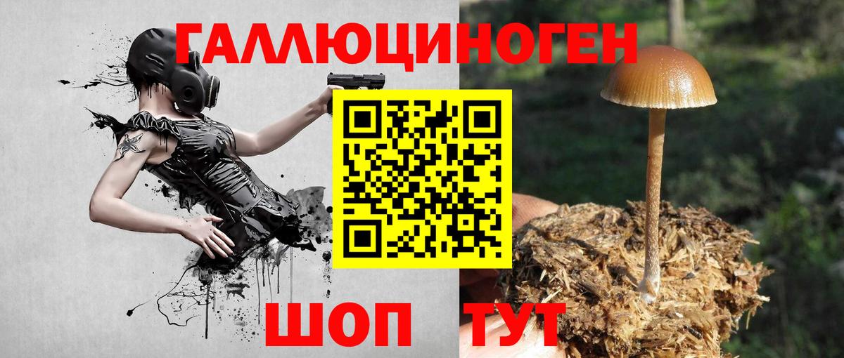 Псилоцибиновые грибы Psilocybe  Вход с VPN  Воскресенск 