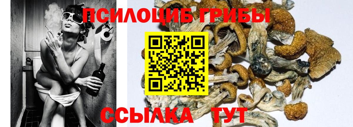 Где продают наркотики?  МЕФ кристаллы  Воскресенск  КОКАИН  Гашиш  Вход с VPN  Каннабис  Лсд 25 